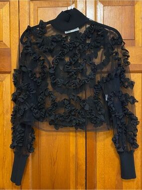 ZARA Black Sheer Ruffle-Embellished Long Sleeve Top